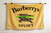Burberrys Sport Vintage Flannel Sofa Throw Blanket B134